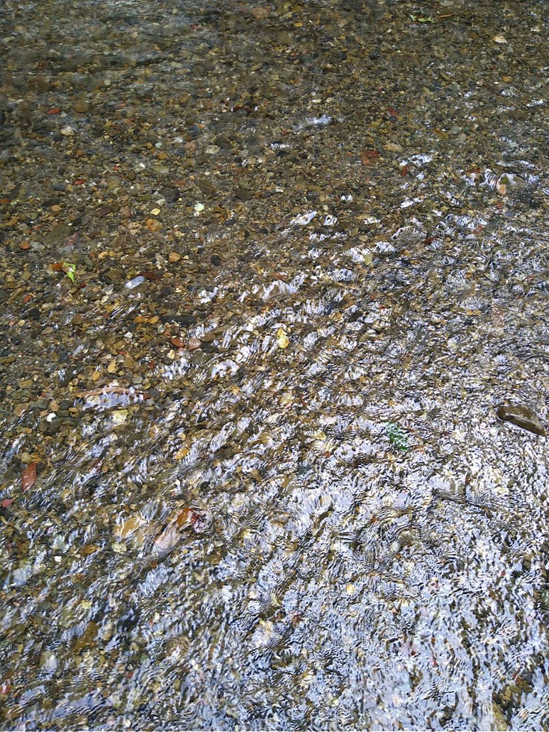 568069401179062614