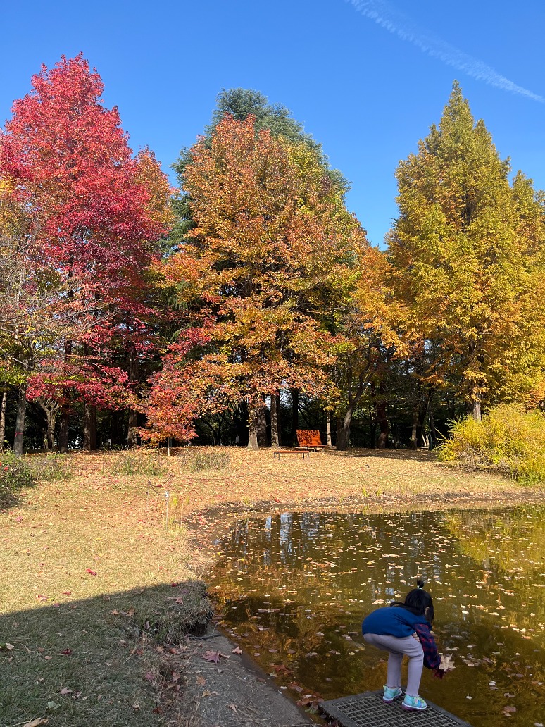 058ED71E1422D4C06AEC6B281F42DC76C53FF830