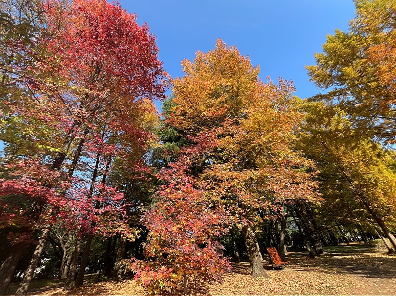 84BE13C4EA088ABB11C6FA48606258BC3BEC0D49