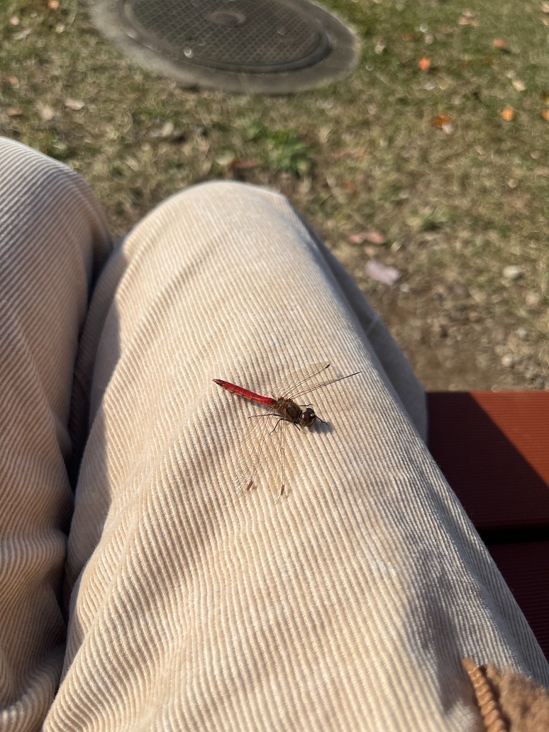 002061BCE85C81584AEF8342AAE1C27275A25FA7