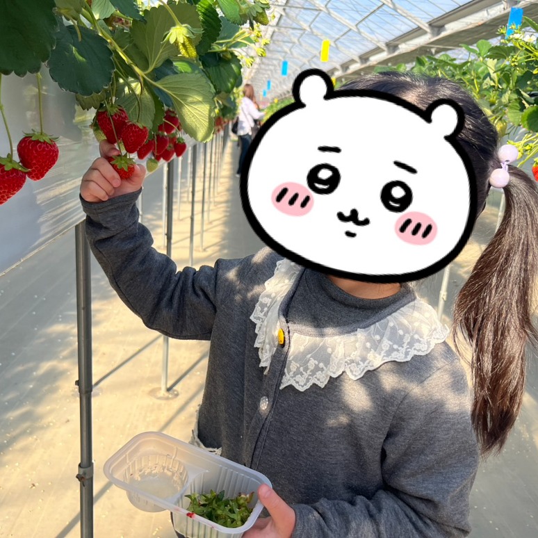 597355914865672691 597355914865672691