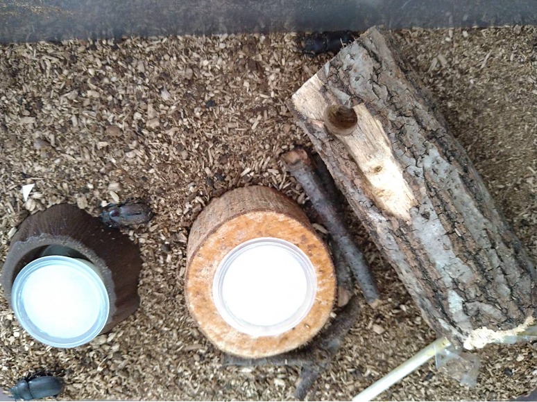 598510516813431148 598510516813431148