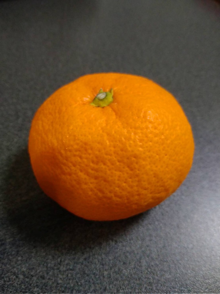 598510509163282624 598510509163282624