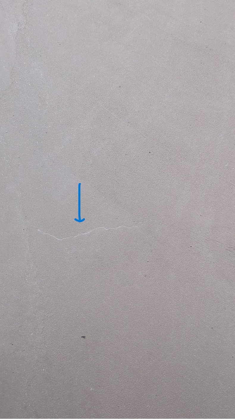 587033873716871459-1